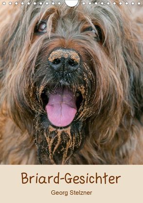 Briard-Gesichter (Wandkalender 2020 DIN A4 hoch) von Stelzner,  Georg