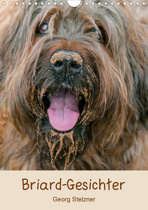 Briard-Gesichter (Wandkalender 2021 DIN A4 hoch) von Stelzner,  Georg