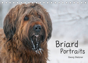 Briard Portraits (Tischkalender 2022 DIN A5 quer) von Stelzner,  Georg