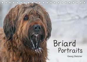 Briard Portraits (Tischkalender 2023 DIN A5 quer) von Stelzner,  Georg