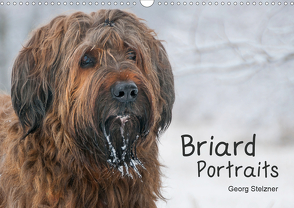 Briard Portraits (Wandkalender 2021 DIN A3 quer) von Stelzner,  Georg