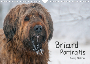 Briard Portraits (Wandkalender 2021 DIN A4 quer) von Stelzner,  Georg