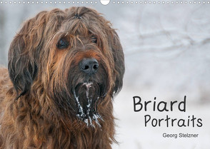 Briard Portraits (Wandkalender 2022 DIN A3 quer) von Stelzner,  Georg