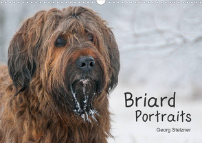 Briard Portraits (Wandkalender 2023 DIN A3 quer) von Stelzner,  Georg