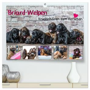 Briard-Welpen – Knuddelbären zum Verlieben (hochwertiger Premium Wandkalender 2024 DIN A2 quer), Kunstdruck in Hochglanz von Teßen,  Sonja