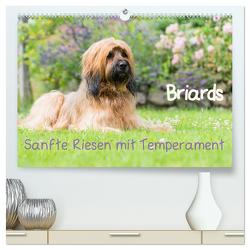 Briards – sanfte Riesen mit Temperament (hochwertiger Premium Wandkalender 2024 DIN A2 quer), Kunstdruck in Hochglanz von Teßen,  Sonja