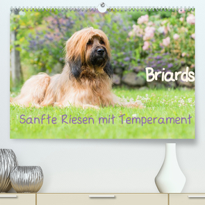 Briards – sanfte Riesen mit Temperament (Premium, hochwertiger DIN A2 Wandkalender 2022, Kunstdruck in Hochglanz) von Teßen,  Sonja