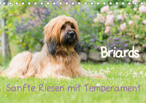 Briards – sanfte Riesen mit Temperament (Tischkalender 2021 DIN A5 quer) von Teßen,  Sonja