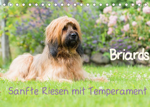 Briards – sanfte Riesen mit Temperament (Tischkalender 2022 DIN A5 quer) von Teßen,  Sonja