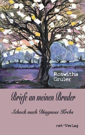 Briefe an meinen Bruder von Gruler,  Roswitha, Schneider,  Jenny