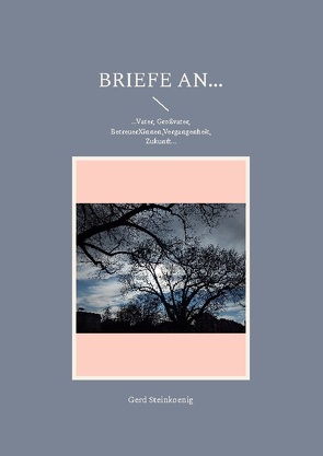 Briefe an… von Steinkoenig,  Gerd