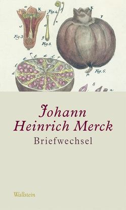 Briefwechsel von Bohnengel,  Julia, Hoffmann,  Yvonne, Krebs,  Amélie, Leuschner,  Ulrike, Merck,  Johann Heinrich