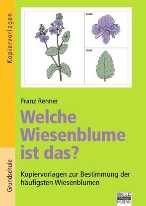 Brigg: Sachunterricht – Grundschule / Welche Wiesenblume ist das? von Renner,  Franz