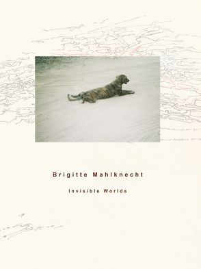 Brigitte Mahlknecht, Invisible Worlds von Mahlknecht,  Brigitte