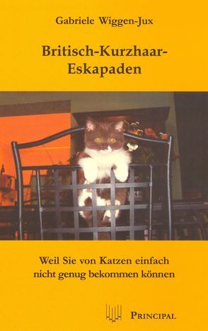 Britisch-Kurzhaar-Eskapaden von Wiggen-Jux,  Gabriele