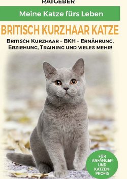 Britisch Kurzhaar Katze von Ratgeber,  Meine Katze fürs Leben