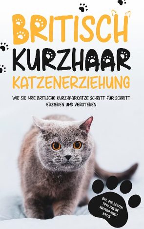 Britisch Kurzhaar Katzenerziehung: Wie Sie Ihre britische Kurzhaarkatze Schritt für Schritt erziehen und verstehen – inkl. der besten Tipps für die Haltung Ihrer Katze von Fährmann,  Britta