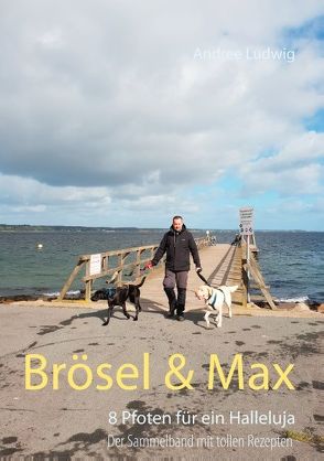 Brösel & Max von Ludwig,  Andree