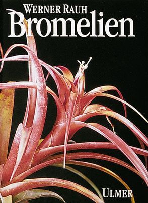 Bromelien von Groß,  Elvira, Rauh,  Werner