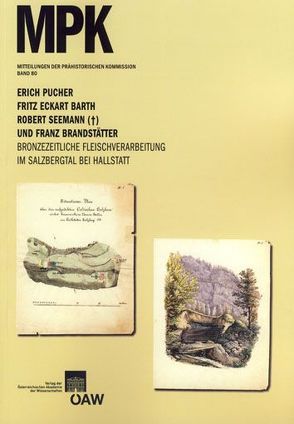 Bronzezeitliche Fleischverarbeitung im Salzbergtal bei Hallstatt von Barth,  Fritz Eckart, Brandstätter,  Franz, Friesinger,  Herwig, Lochner,  Michaela, Pucher,  Erich, Seemann,  Robert