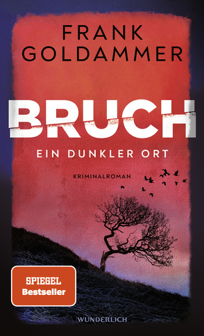 Bruch: Ein dunkler Ort von Goldammer,  Frank