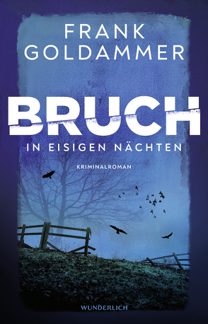 Bruch: In eisigen Nächten von Goldammer,  Frank