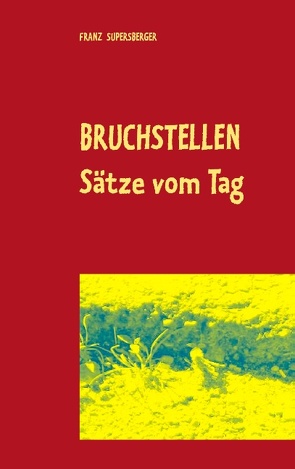 Bruchstellen von Supersberger,  Franz