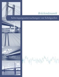 Brückendynamik – Schwingungsuntersuchungen von Schrägseilen von Geier,  Roman