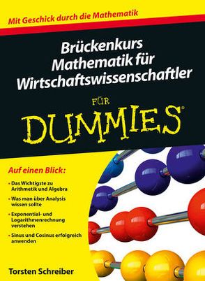 Brückenkurs Mathematik für Wirtschaftswissenschaftler für Dummies von Schreiber,  Torsten