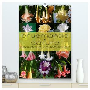 Brugmansia & Datura – Exotische Schönheiten (hochwertiger Premium Wandkalender 2024 DIN A2 hoch), Kunstdruck in Hochglanz von Cross,  Martina