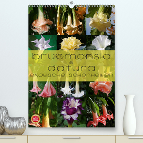 Brugmansia & Datura – Exotische Schönheiten (Premium, hochwertiger DIN A2 Wandkalender 2021, Kunstdruck in Hochglanz) von Cross,  Martina