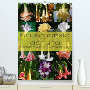 Brugmansia & Datura – Exotische Schönheiten (Premium, hochwertiger DIN A2 Wandkalender 2022, Kunstdruck in Hochglanz) von Cross,  Martina