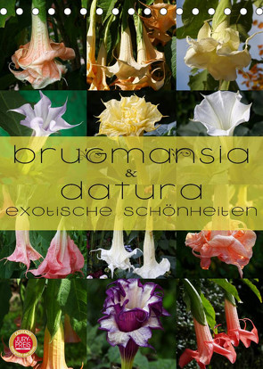 Brugmansia & Datura – Exotische Schönheiten (Tischkalender 2022 DIN A5 hoch) von Cross,  Martina