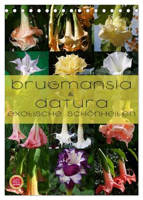 Brugmansia & Datura – Exotische Schönheiten (Tischkalender 2024 DIN A5 hoch), CALVENDO Monatskalender von Cross,  Martina