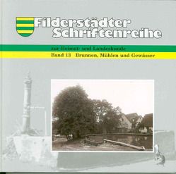 Brunnen, Mühlen und Gewässer von Back,  Nikolaus, Branz,  Norbert, Enkelmann,  Reiner