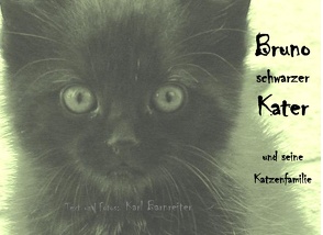 Bruno schwarzer Kater von Barnreiter,  Karl