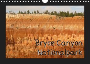 Bryce Canyon Nationalpark (Wandkalender 2019 DIN A4 quer) von Olschner,  Sabine