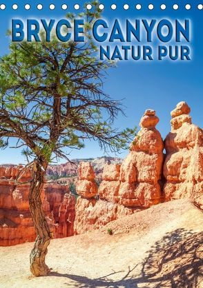 BRYCE CANYON Natur Pur (Tischkalender 2018 DIN A5 hoch) von Viola,  Melanie