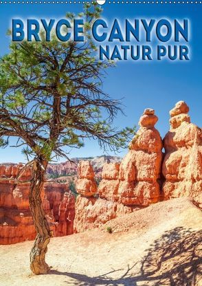 BRYCE CANYON Natur Pur (Wandkalender 2018 DIN A2 hoch) von Viola,  Melanie