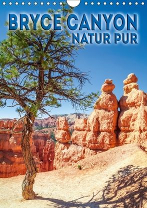 BRYCE CANYON Natur Pur (Wandkalender 2018 DIN A4 hoch) von Viola,  Melanie