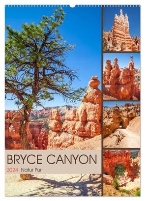 BRYCE CANYON Natur Pur (Wandkalender 2024 DIN A2 hoch), CALVENDO Monatskalender von Viola,  Melanie