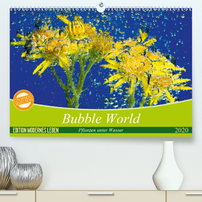 Bubble World – Pflanzen unter Wasser (Premium, hochwertiger DIN A2 Wandkalender 2020, Kunstdruck in Hochglanz) von Sattler,  Stefan