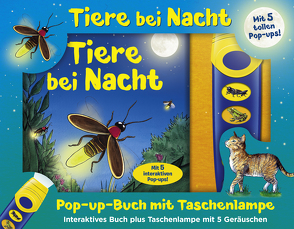 Buch & Sound Spiel-Set, Tiere bei Nacht