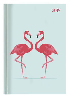 Buchkalender Style Flamingos 2019 von ALPHA EDITION