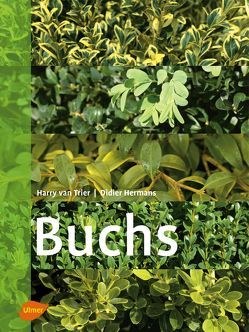 Buchs von Trier,  Harry van