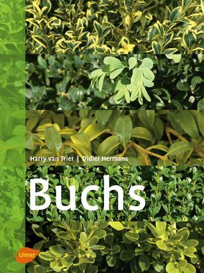 Buchs von Trier,  Harry van