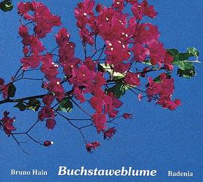 Buchstaweblume von Hain,  Bruno, Lehr,  Rudolf