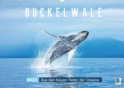 Buckelwale: Aus den blauen Tiefen der Ozeane (Wandkalender 2022 DIN A2 quer) von CALVENDO