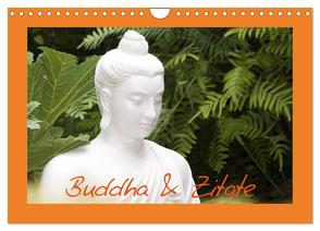 Buddha & Zitate (Wandkalender 2024 DIN A4 quer), CALVENDO Monatskalender von Stanzer,  Elisabeth