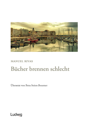 Bücher brennen schlecht von Gómez-Montero,  Javier, Rivas,  Manuel, Strien-Bourmer,  Petra